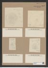 Stephanopyxis turris var. brevispina Grun. (de-Toni-Nr.: Genus 187, Species 4624) Zeichnungen Sammlung Grunow Nr. 8245 (NHMW-BOT-W0377639)